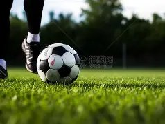 西法对决预,冲突激战或,平分秋色,007球探足球即时比分,007球探比分,007球探体育比分网,比分直播