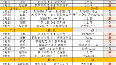 大乐透期号专家推荐：16胜11客队杯赛分析聚焦