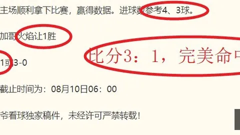 007球探足球比分 134216 465