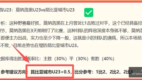 007球探足球比分 134611