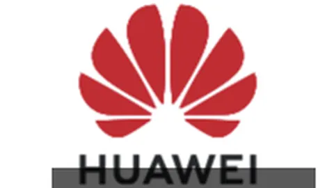 终极指南：斯玛特眼中的，每日坚持铸就篮球传奇